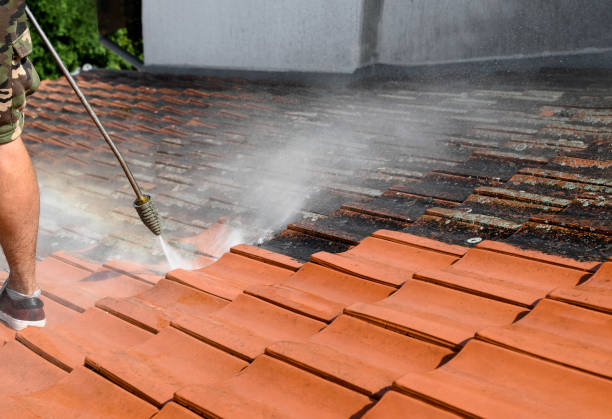 Best Pressure Washing Contractors  in Lightstreet, PA