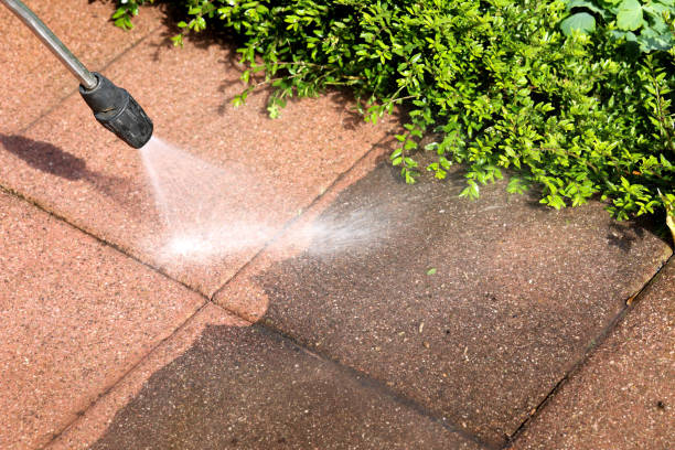 Lightstreet, PA Pressure Washing Company